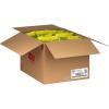 imageFunyuns Onion Flavored Rings Original 075 Ounce Pack of 40Original